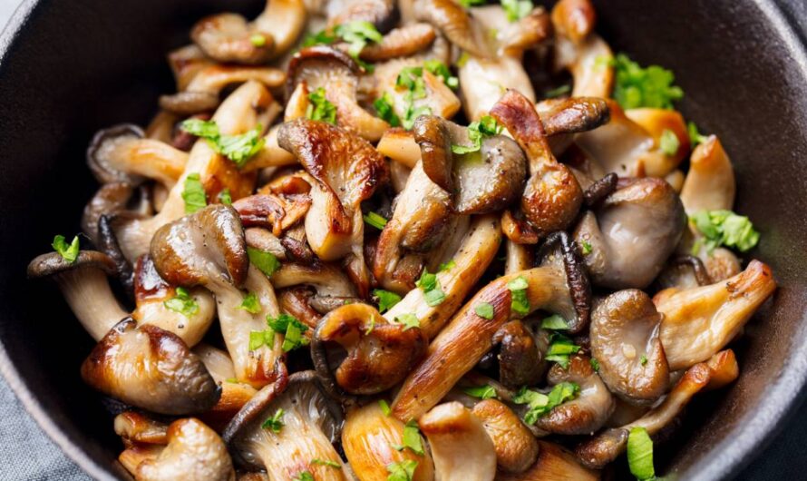 Cuisinez autrement pour diversifier les saveurs sans compliquer vos repas